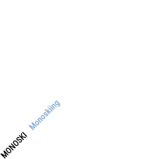MONOSKI Monoskiing