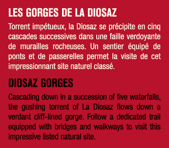 LES GORGES DE LA DIOSAZ Torrent imp tueux, la Diosaz se pr cipite en cinq cascades successives dans une faille verdoy...