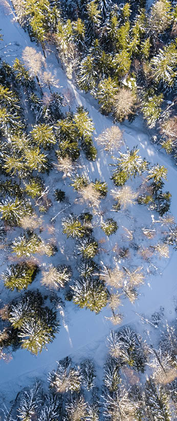 Haute Savoie Nordic - Chamonix (2019)