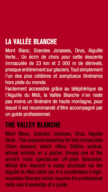 LA VALL E BLANCHE Mont Blanc, Grandes Jorasses, Drus, Aiguille Verte... Un crin de choix pour cette descente immacul...