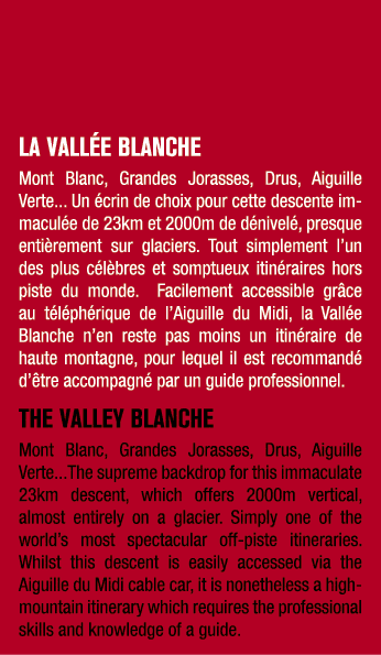 LA VALL E BLANCHE Mont Blanc, Grandes Jorasses, Drus, Aiguille Verte... Un crin de choix pour cette descente immacul...