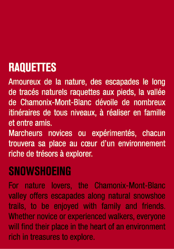 Raquettes Amoureux de la nature, des escapades le long de trac s naturels raquettes aux pieds, la vall e de Chamonix ...